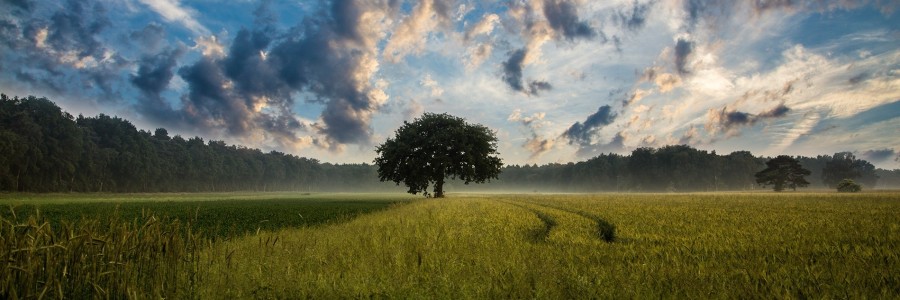 Mind-Trail Intellectual Solutions